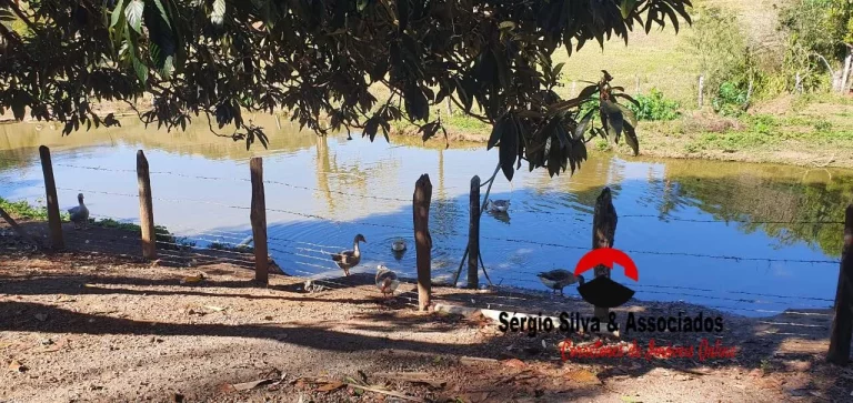 Imagem Sítio Com 10,5 hectares de Área Para Venda á 60 km de Campos do Jordão/SP.