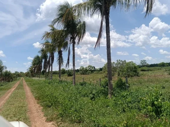 Encantadora Fazenda à Venda na Zona Rural de Nossa Senhora do Livramento