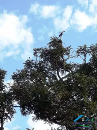 Imagem Paraíso na Serra da Mantiqueira: Chácara completa com vista espetacular!