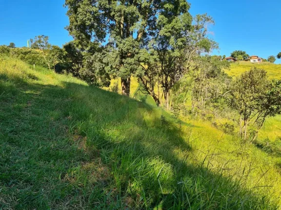 Imagem Belíssimo Terreno na Beira da Represa em Piracaia