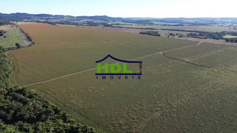 Imagem Fazenda Top 243 Ha alta produtividade em Piracanjuba GO