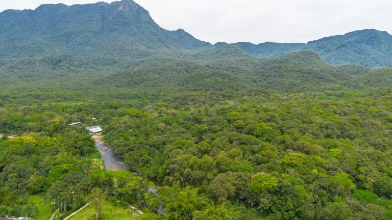 Imagem Chácara 81.756,00 m2 Porto de Cima