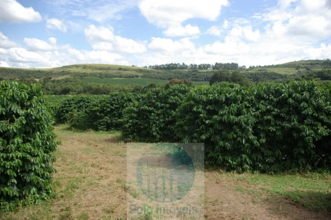 Imagem Fazenda com 140.000 pés de café produzindo, a 20 km de Jacuí Minas Gerais, casa de caseiro, energia e água.