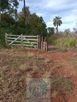 Sítio vende 10 alqueires em Altinópolis - SP, terra de cultura, vermelha e em pasto.