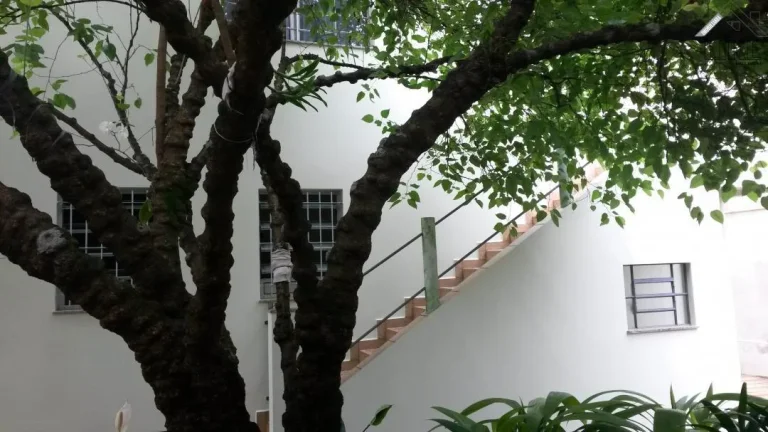 Imagem Casa no Santana