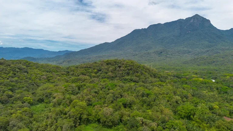 Chácara 81.756,00 m2 Porto de Cima