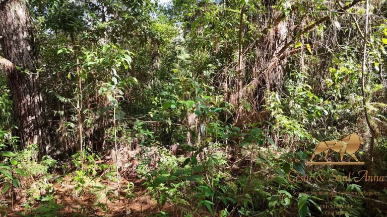 Imagem Terreno a venda em Campos do Jordão