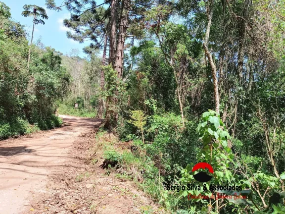Imagem Área para Venda Com 4488,00 m², em Campos do Jordão/SP.