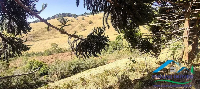 Imagem Conecte-se à Natureza: Terreno Rural com Nascente e Vista Panorâmica!