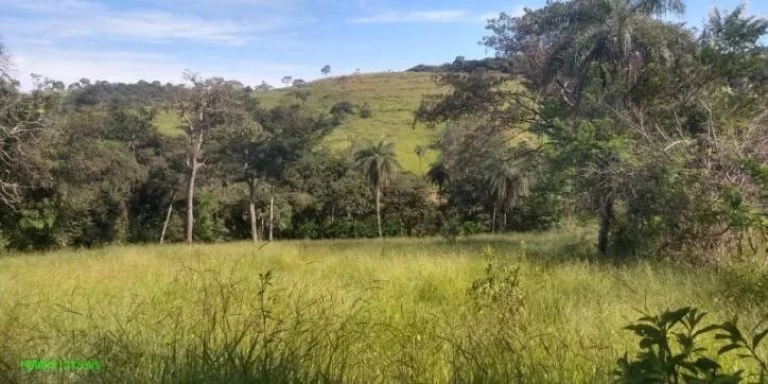 Imagem TERRENO NO BAIRRO CIDADE NOVA I , EM JUATUBA
COM ÁREA DE 4.000 M²
ÁGUA E LUZ
FÁCIL ACESSO PARA A...