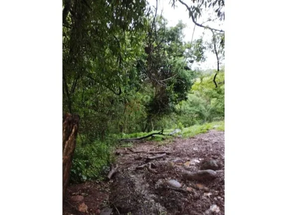 Imagem Sítio LINDÓIA DO SUL - SC