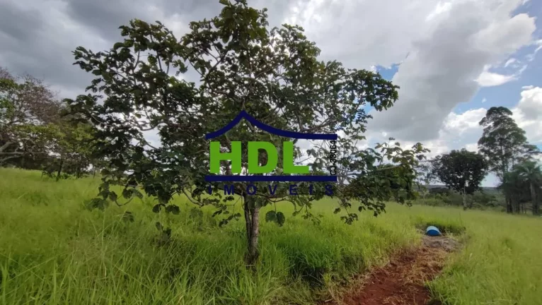 Imagem Chácara com 4 Hectares em Hidrolândia - GO