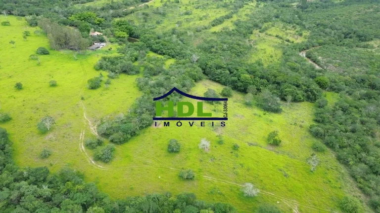 Imagem Fazenda 36 Alqs com 2,5 kms beira Rio dos Bois 60% em Permuta