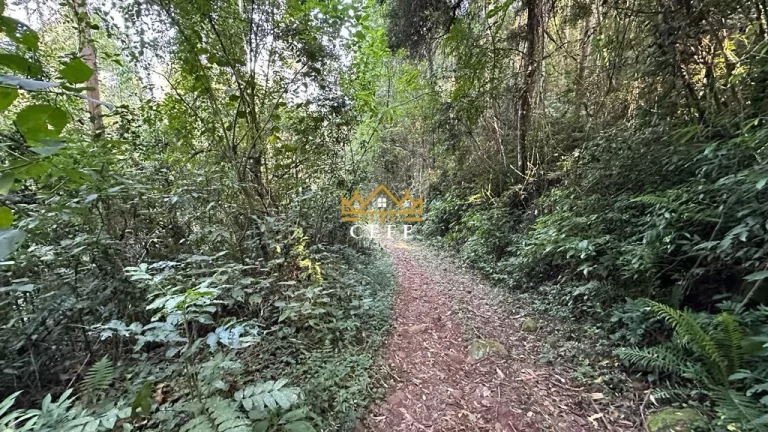 Imagem Chácara - Sítio com 1 Dormitorio(s) localizado(a) no bairro Pinhal Alto em Nova Petrópolis / RIO GRANDE DO SUL Ref.:1472
