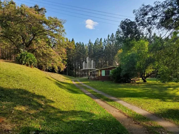 Imagem Sitio de 56.720m² 3 Dorms, 1 Suíte, Escritura, nascente, Piscina, 1 ha com Pinos 15 anos, Poço Semi-Artesiano(2.000l/h), 350 mts de testada, Alambrado, em Bragança Paulista