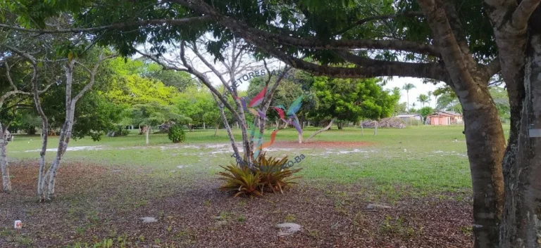 Imagem VILA DA VILA- PRAIA DE SANTO ANDRÉ - SANTA CRUZ CABRÁLIA