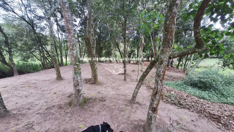Imagem Sítio 20mil m² Documentado 4 Lagos Pomar Formado Morungaba/SP