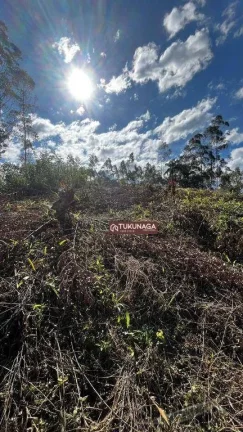 Imagem Terreno à venda, 1000 m² por R$ 110.000,00 - Rio Acima - Mairiporã/SP