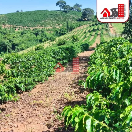 Imagem Sítio com 2 dorms, Santo Aleixo Juruaia, Juruaia - R$ 980 mil, Cod: 197