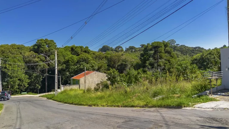 Imagem Terreno Campo Largo 105m²