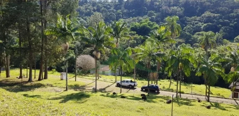 Imagem Sítio Encantador à Venda em Piracaia - Perímetro Urbano