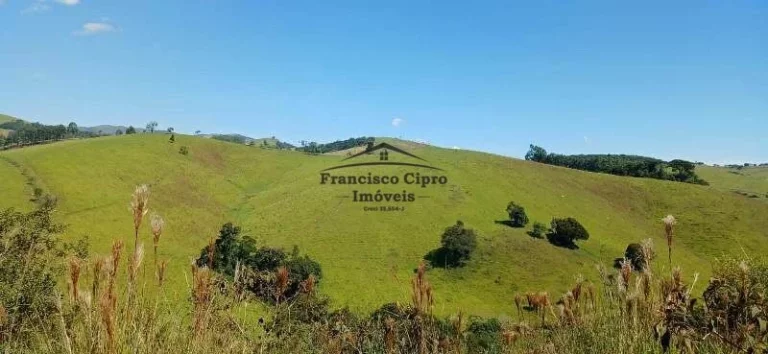 Imagem Fazenda à venda no bairro Carneiros - Cunha/SP