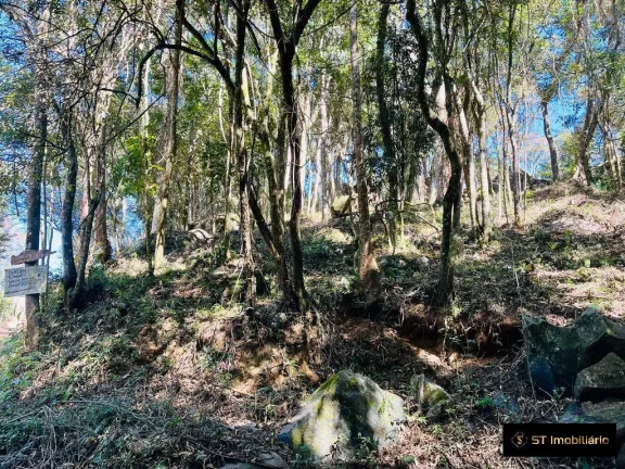 Imagem Terreno em Terra Preta a 5min da pista! Financia! Permuta! R$230.000,00!