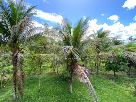 Imagem SITIO RURAL em SANTA CRUZ CABRÁLIA - BA, BR 367