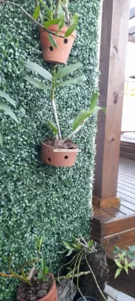 Imagem Casa á 10 metros da praia com Terraço vista Mar, Equipada com 04 dormitórios sendo 01 suíte máster à Venda em Governador Celso Ramos - SC