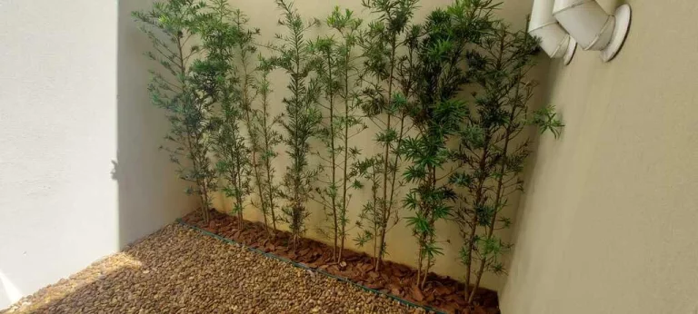 Imagem Casa de condomínio à venda em São Paulo, Morumbi, com 4 quartos, 300,04m2