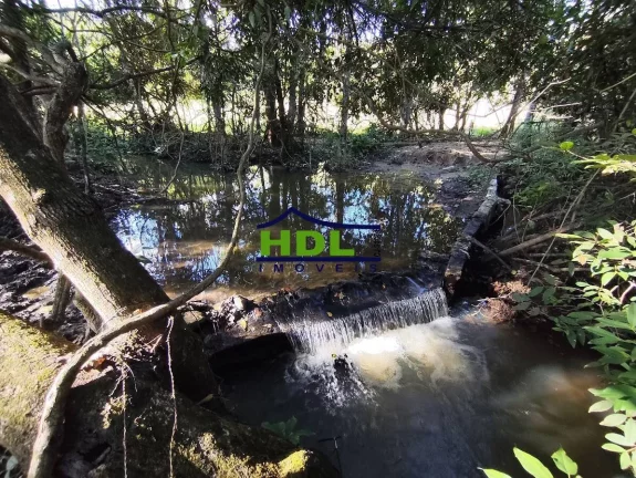 Chácara com córrego no meio 1 Alqueire e 5 Lts 100 kms de Goiânia