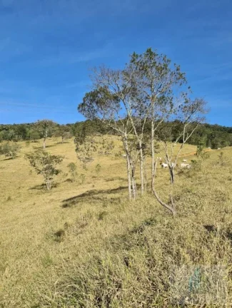 Imagem Sítio com 2 quartos, 14 Alqueires Paulista, à venda em Igarata SP