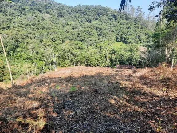 Imagem Terreno rural com 3.000 m² no Bairro Alto Pitanga, Nova Trento/SC
