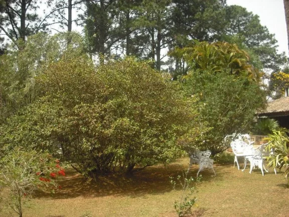Imagem CHÁCARA RESIDENCIAL À VENDA, CHÁCARA RECREIO LAGOA DOS PATOS, JUNDIAÍ