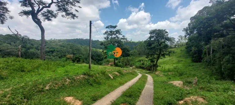 Imagem Sítio para Venda em São Roque, Marmeleiro, 2 dormitórios, 1 suíte, 2 banheiros