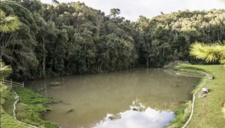 Imagem Fazenda para Venda - Roça Velha