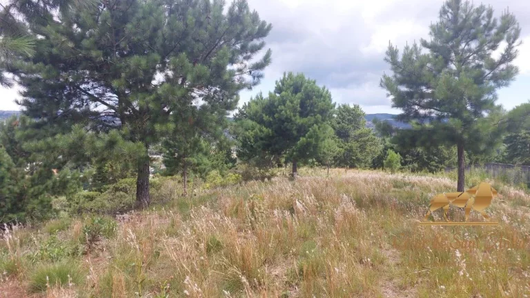 Imagem BELOS TERRENOS A VENDA EM CAMPOS DO JORDÃO-SP