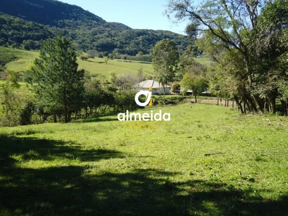 Imagem Chácara 3 dormitórios à venda Zona rural Restinga Seca/RS