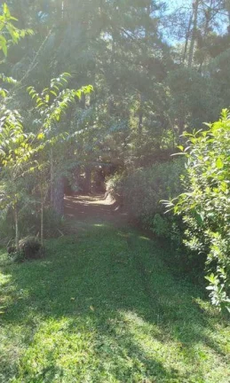 Imagem Terreno Comercial para Venda em Nova Friburgo, Mury, 1 dormitório, 1 banheiro, 3 vagas