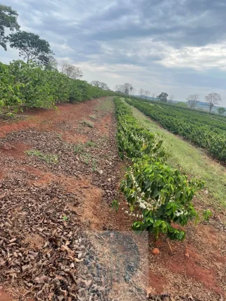 Imagem Sítio com 79 mil pés de Café, 11 alqueires com estrutura e terreirão em São Sebastião do Paraíso - Minas Gerais.
