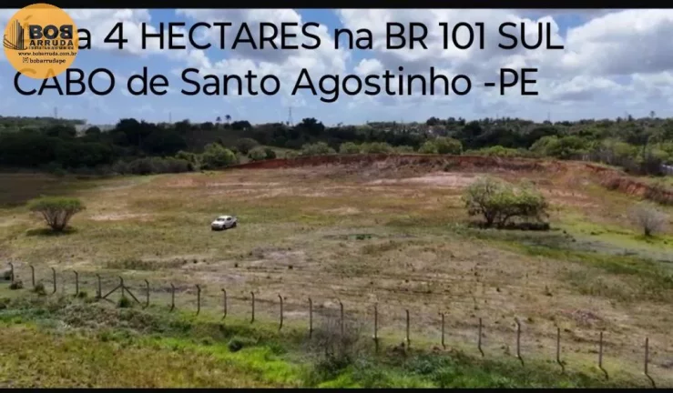 Terreno Padrão
