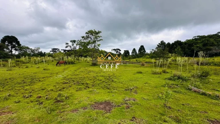 Imagem Chácara - Sítio com 1 Dormitorio(s) localizado(a) no bairro Serra Grande em Três Coroas / RIO GRANDE DO SUL Ref.:1602