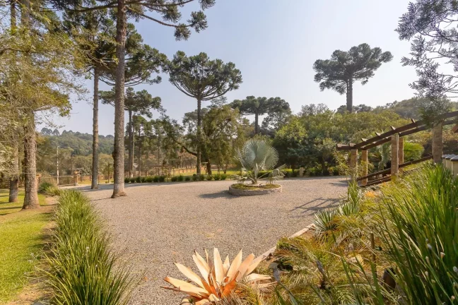 Imagem Chácara lazer ou eventos Campo Largo