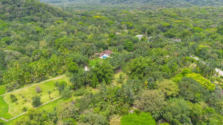 Imagem Chácara 45456 m2 Porto de Cima