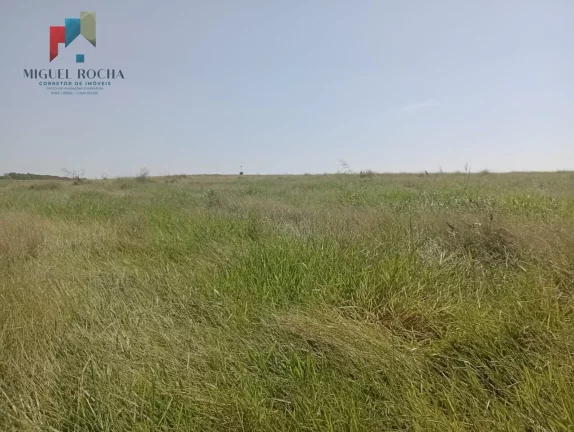 Imagem Fazenda Região Botucatu SP