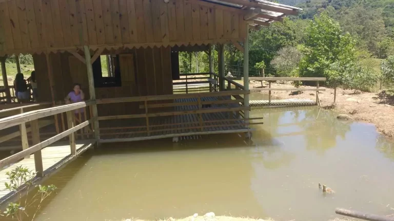 Imagem Sitio com 180.000 m², com 2 lagoas em Camboriú/SC
