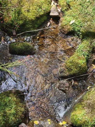 Imagem Casa em Condomínio para Venda em Teresópolis / RJ no bairro Granja Guarani