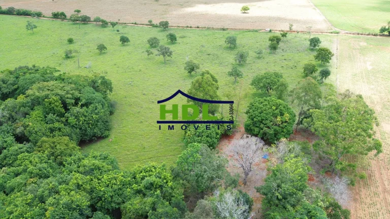 Imagem Chácara 3 Hectares com energia e quintal