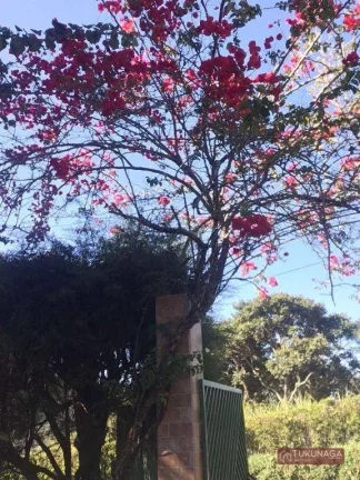 Imagem Chácara com 4 dormitórios à venda, 10000 m² por R$ 1.600.000 - Itatiba/SP