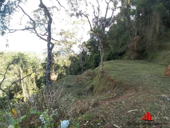 Imagem Terreno a Venda Com 3.138,00 m², Região do Morro do Elefante.